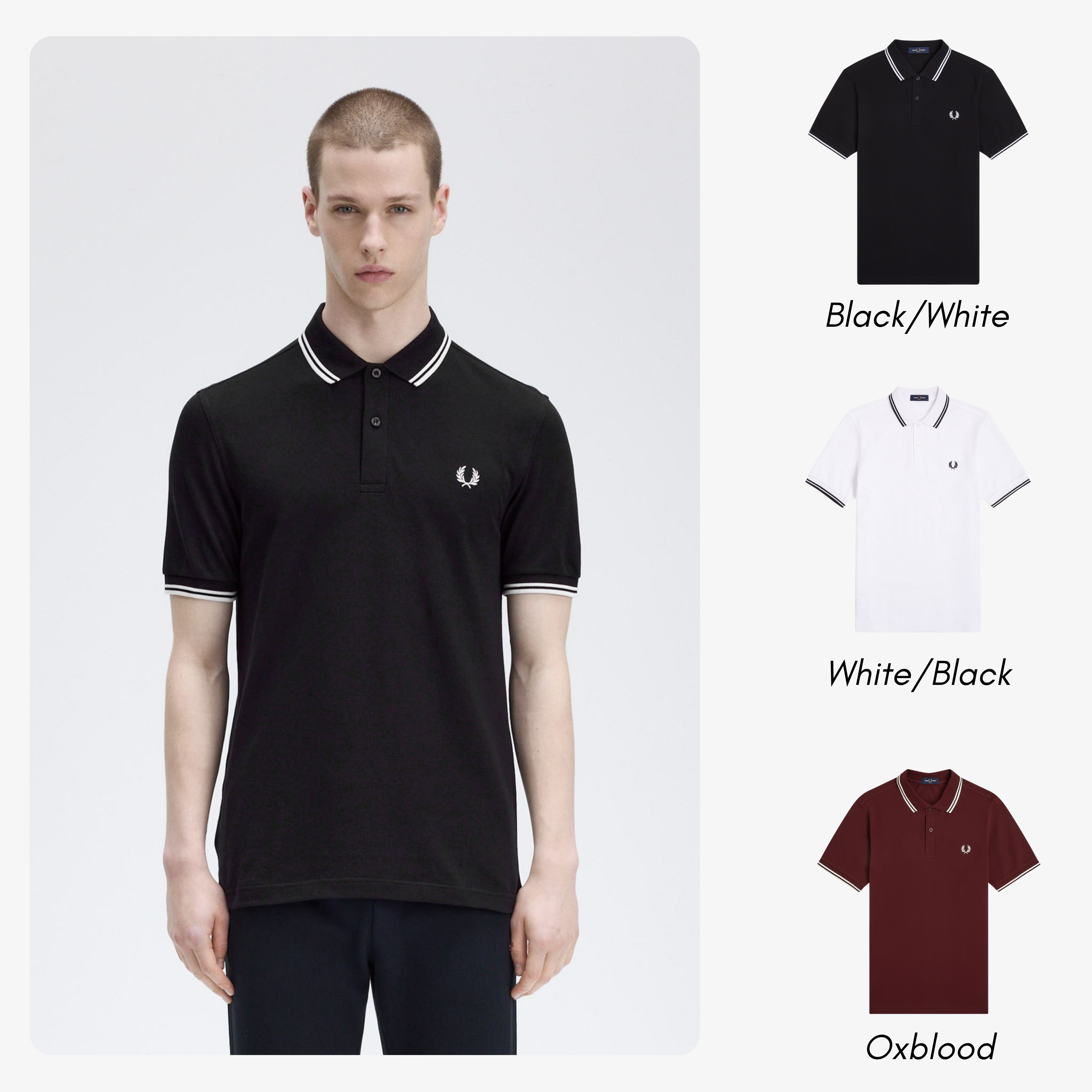 Regency 100% Cotton Polo Buy 1, Get 2 + Free Sunglasses